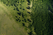 Our Carbon Journey