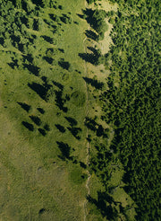 Our Carbon Journey