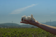 Fabric of Finisterre